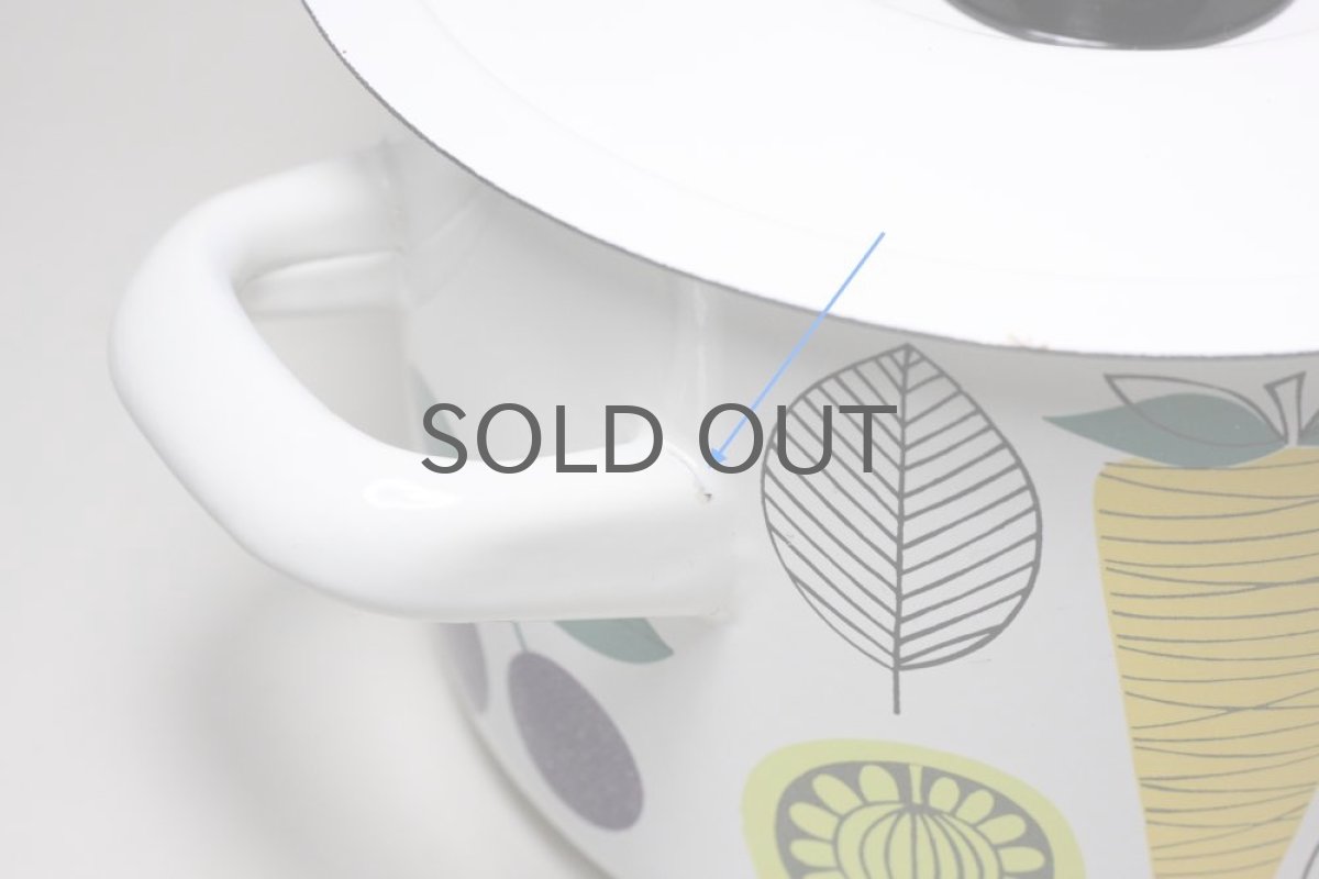 画像4: Finel /フィネル/エナメル/Vegeta/Mサイズ/美品 (4)