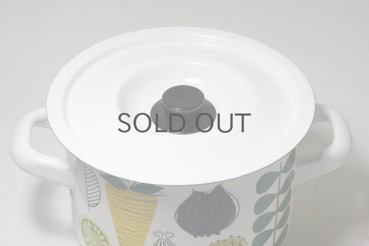 画像5: Finel /フィネル/エナメル/Vegeta/Mサイズ/美品 (5)