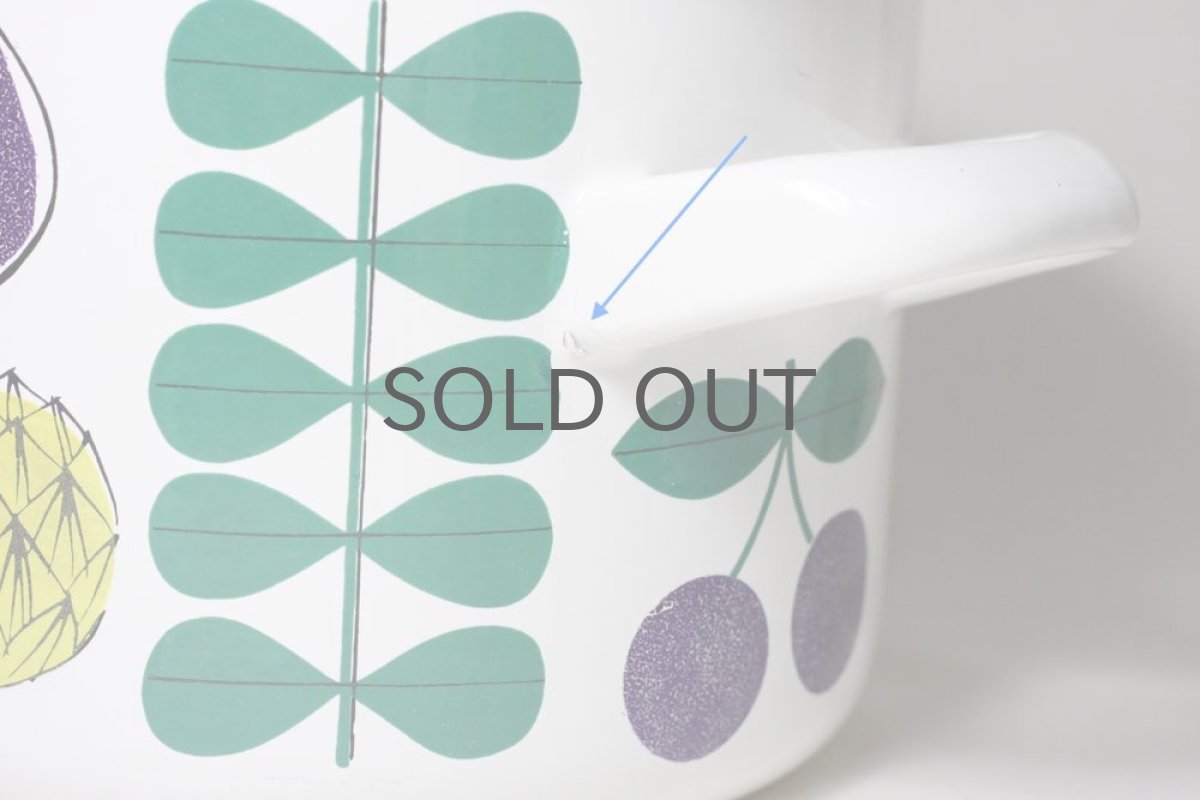 画像3: Finel /フィネル/エナメル/Vegeta/Mサイズ/美品 (3)