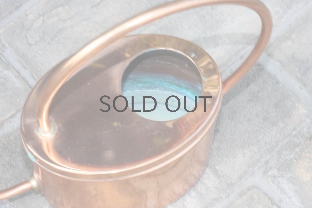 画像3: スウェーデン/ブロンズのヴィンテージ水差し/細口ジョーロ/ガーデニング (3)