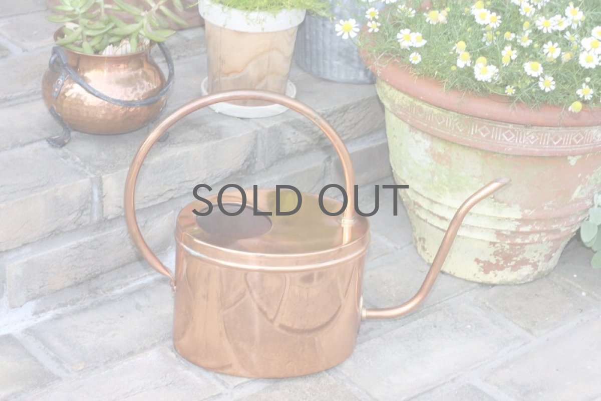 画像2: スウェーデン/ブロンズのヴィンテージ水差し/細口ジョーロ/ガーデニング (2)