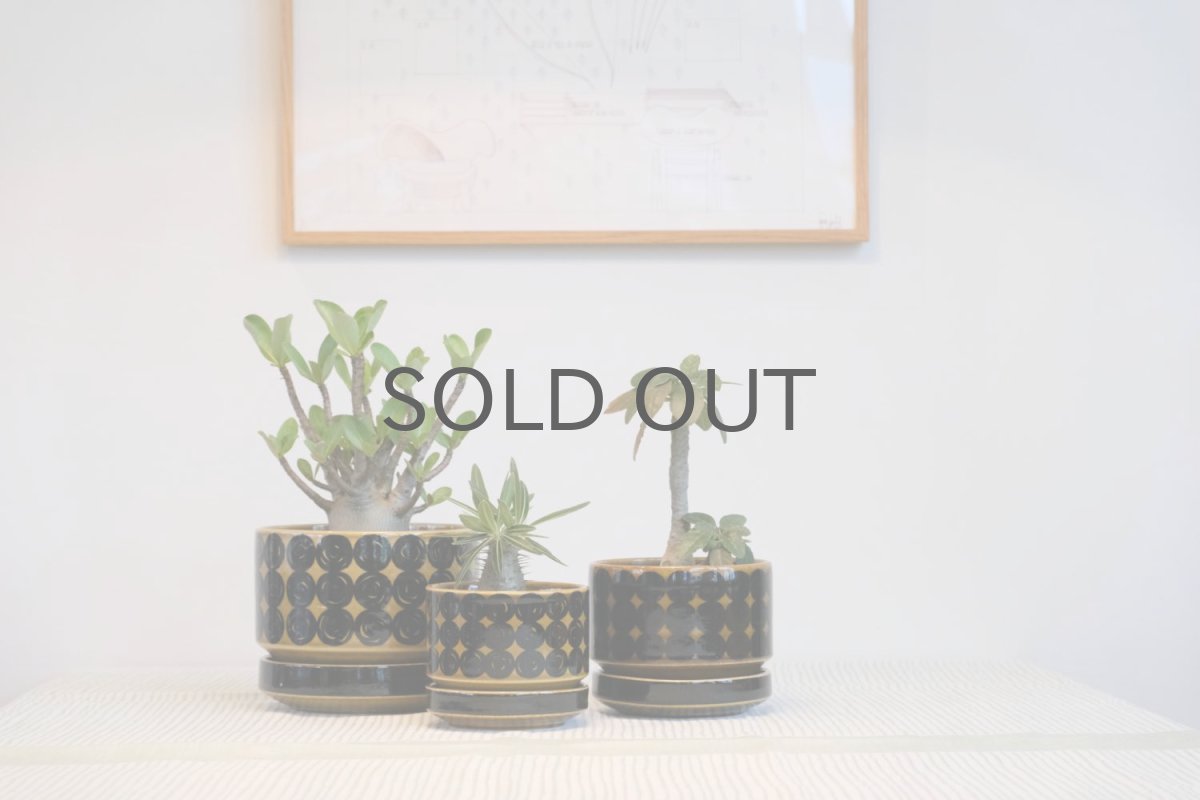 中心の小さなサイズの鉢