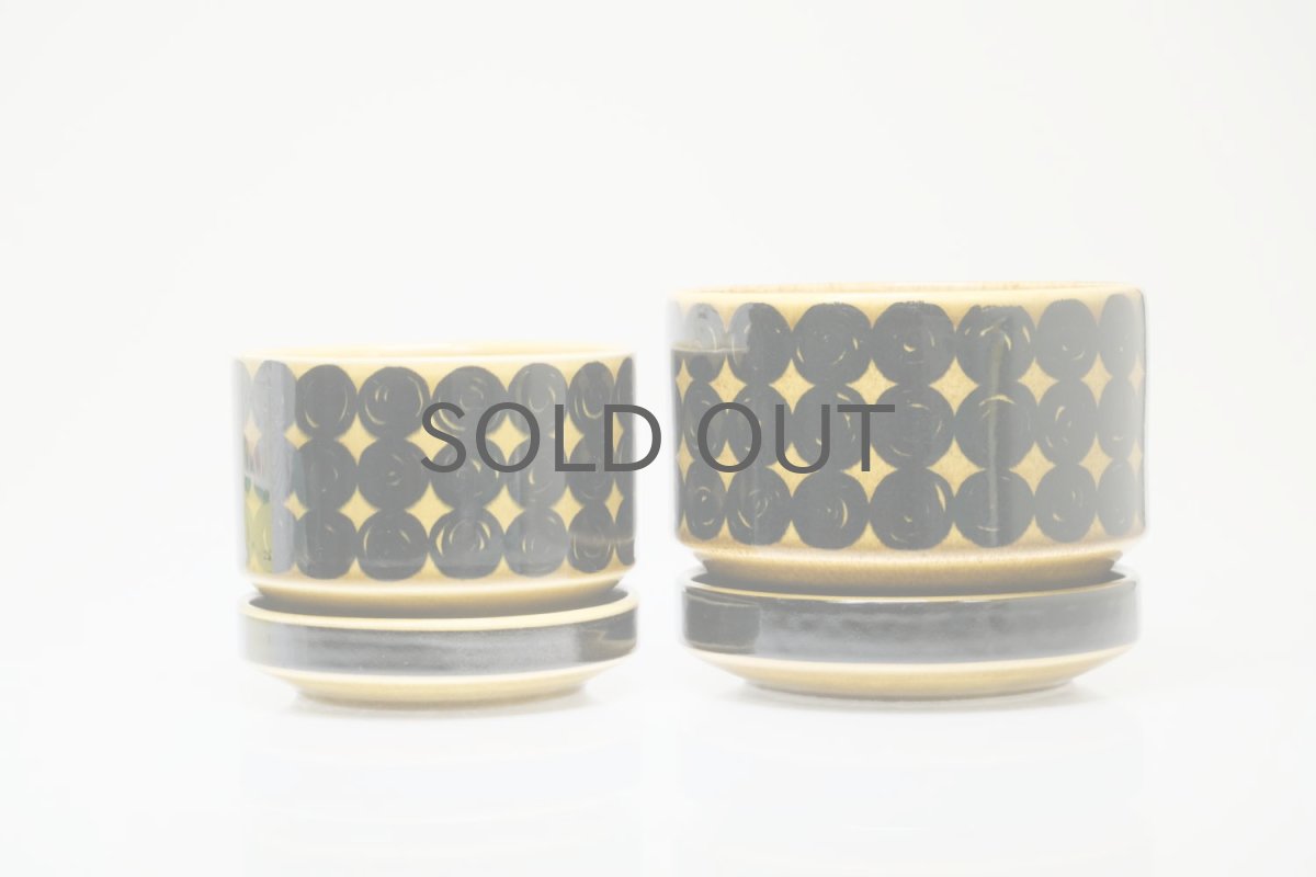 左がSサイズ　右がMサイズ