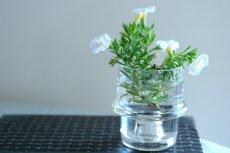 画像6: 北欧ビンテージガラス/NUUTAJARVI/Tuikku/ランタンキャンドルホルダー＆キャンドルスタンド/クリア (6)