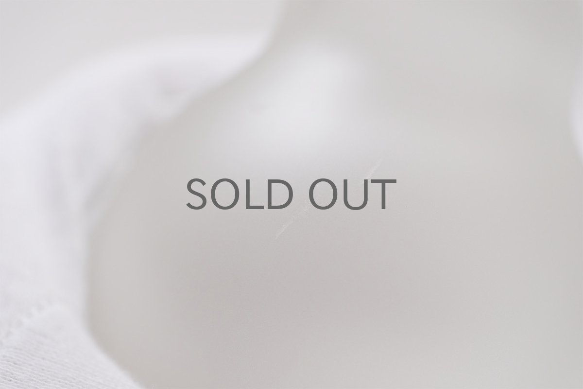 画像7: 北欧ビンテージ雑貨/フィンランド/Riihimaen Lasi/リーヒマエンラシ/Sakari Pykälä/ガラスの小鳥/サンドブラスト仕上げ (7)