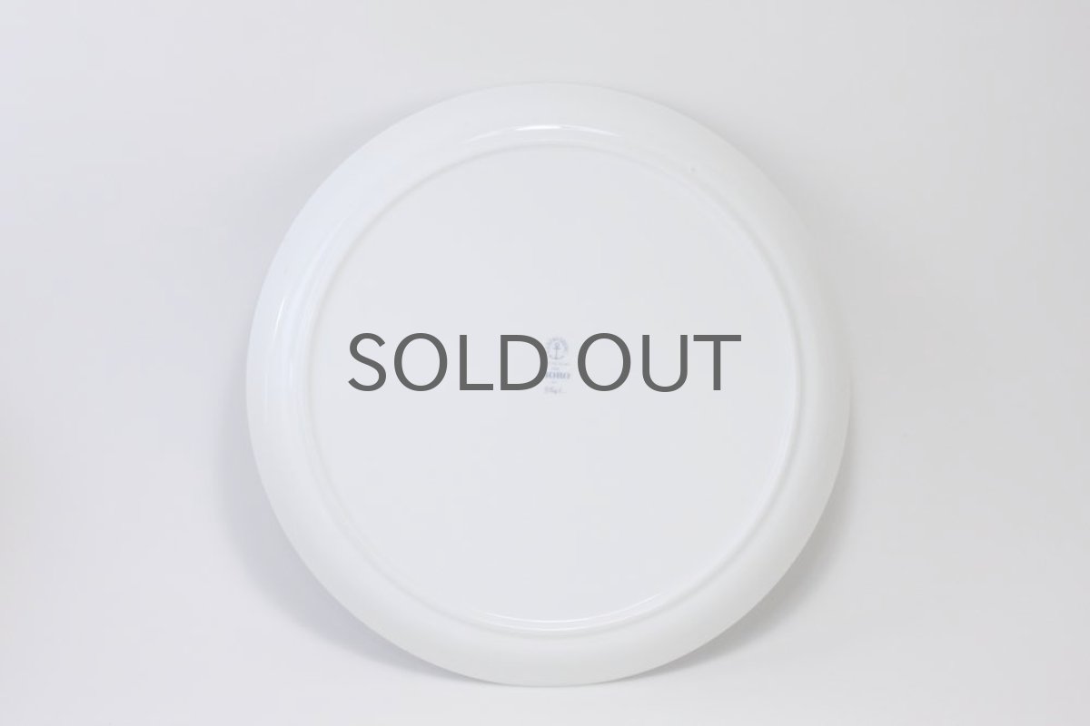 画像5: Gustavsberg/グスタフスベリ/BORO /ディナープレート/24cm/No.1 (5)