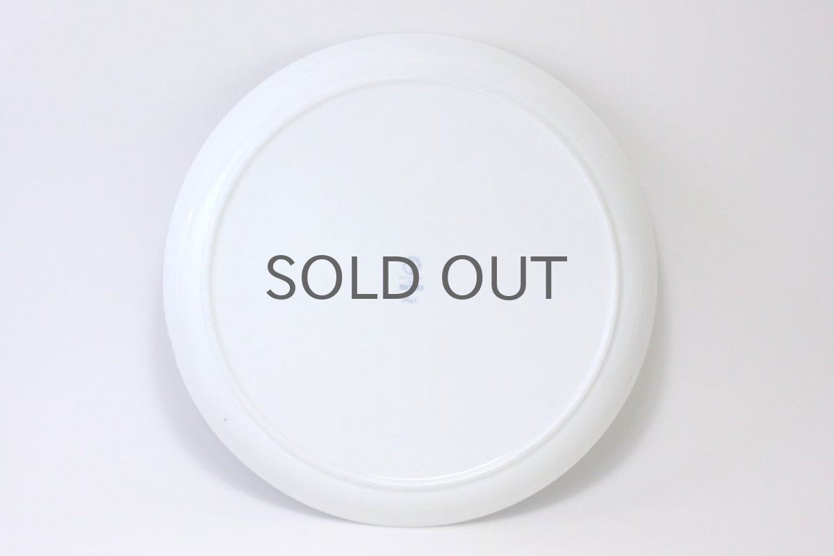 画像5: Gustavsberg/グスタフスベリ/BORO /ディナープレート/24cm/No.2 (5)