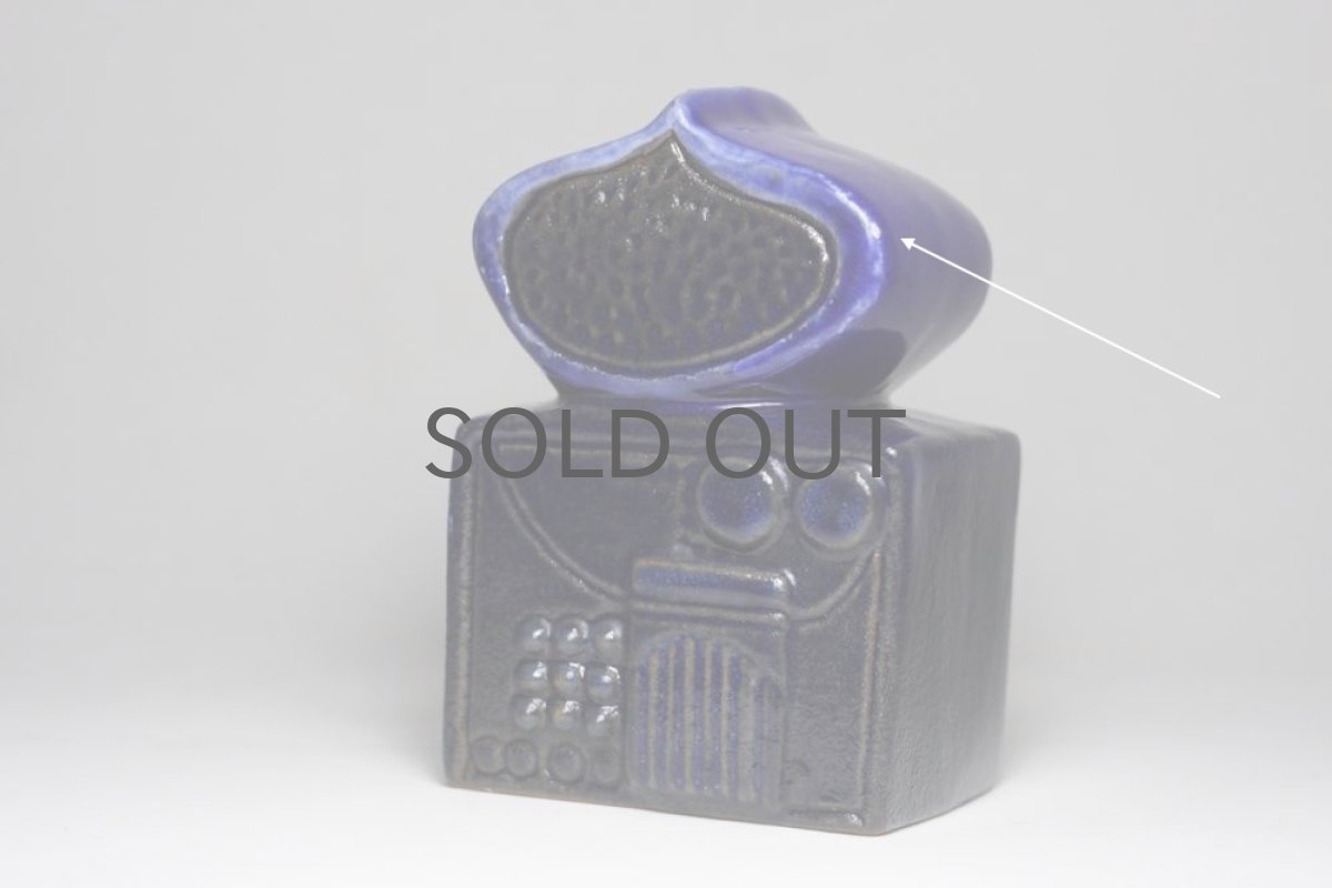 小さなチップがあります