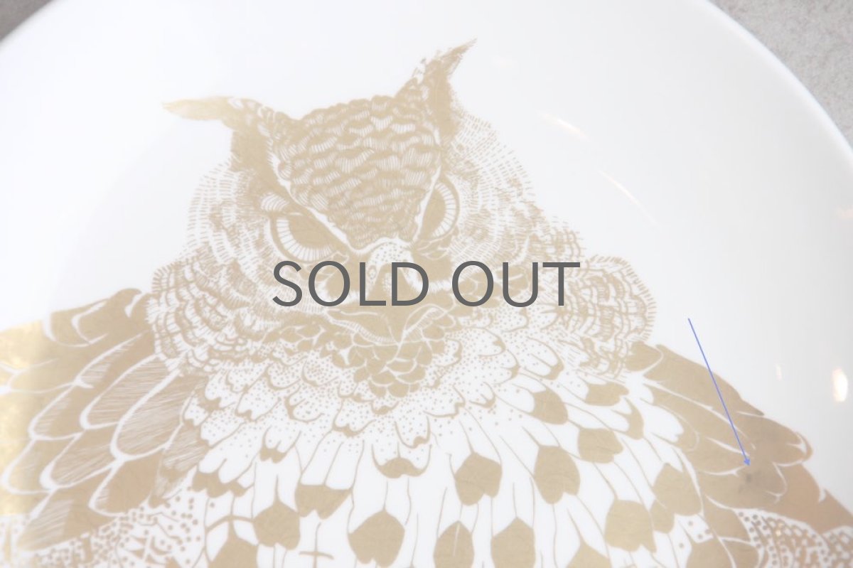 画像2: Gustavsberg/グスタフスベリ/Arter i Fara/Paul Hoff/ポール・ホフ/ワシミミズク (2)