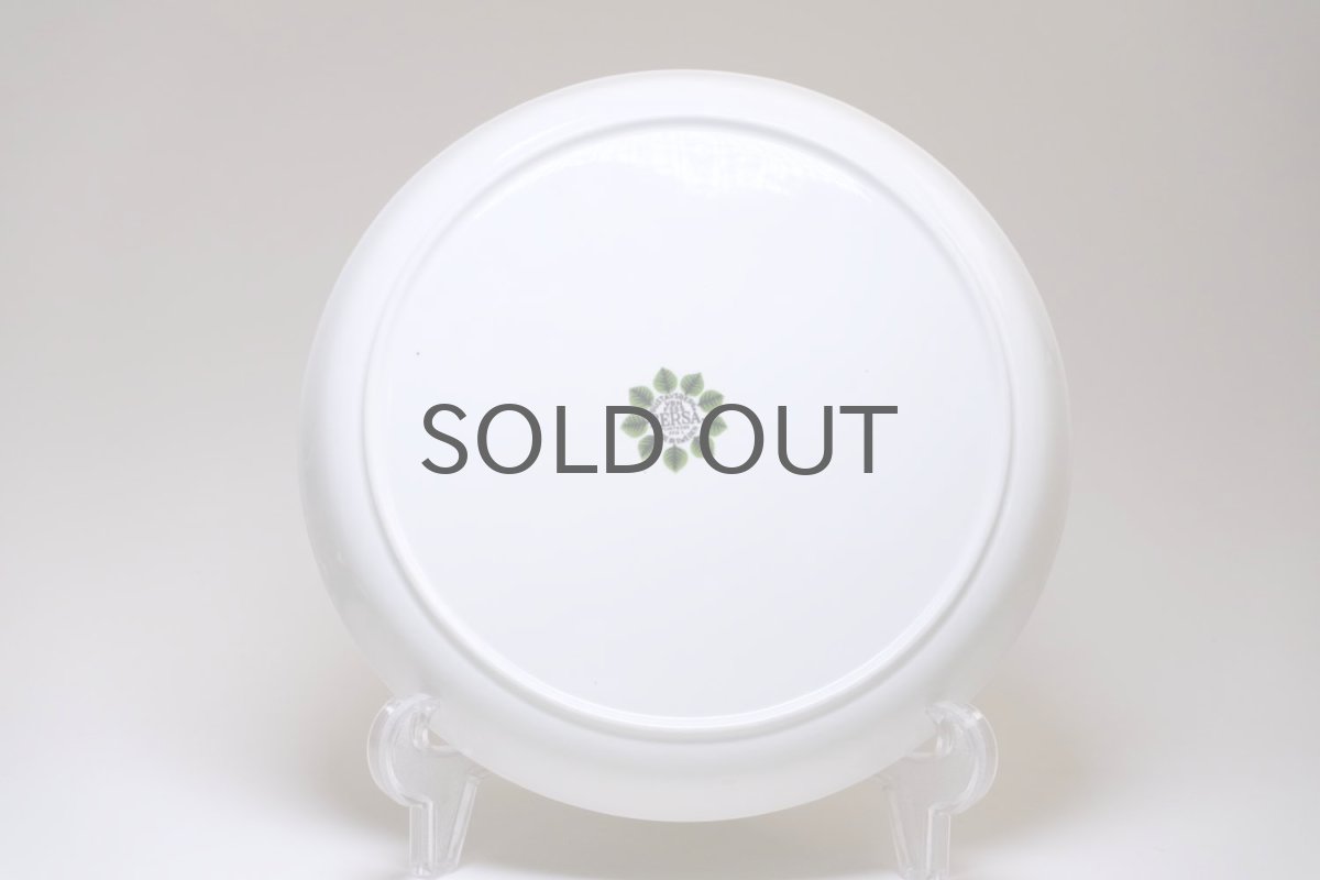 画像6: 【価格見直し】Gustavsberg/グスタフスベリ/Bersa/ベルサ/ディナープレート/25cm/No.2 (6)