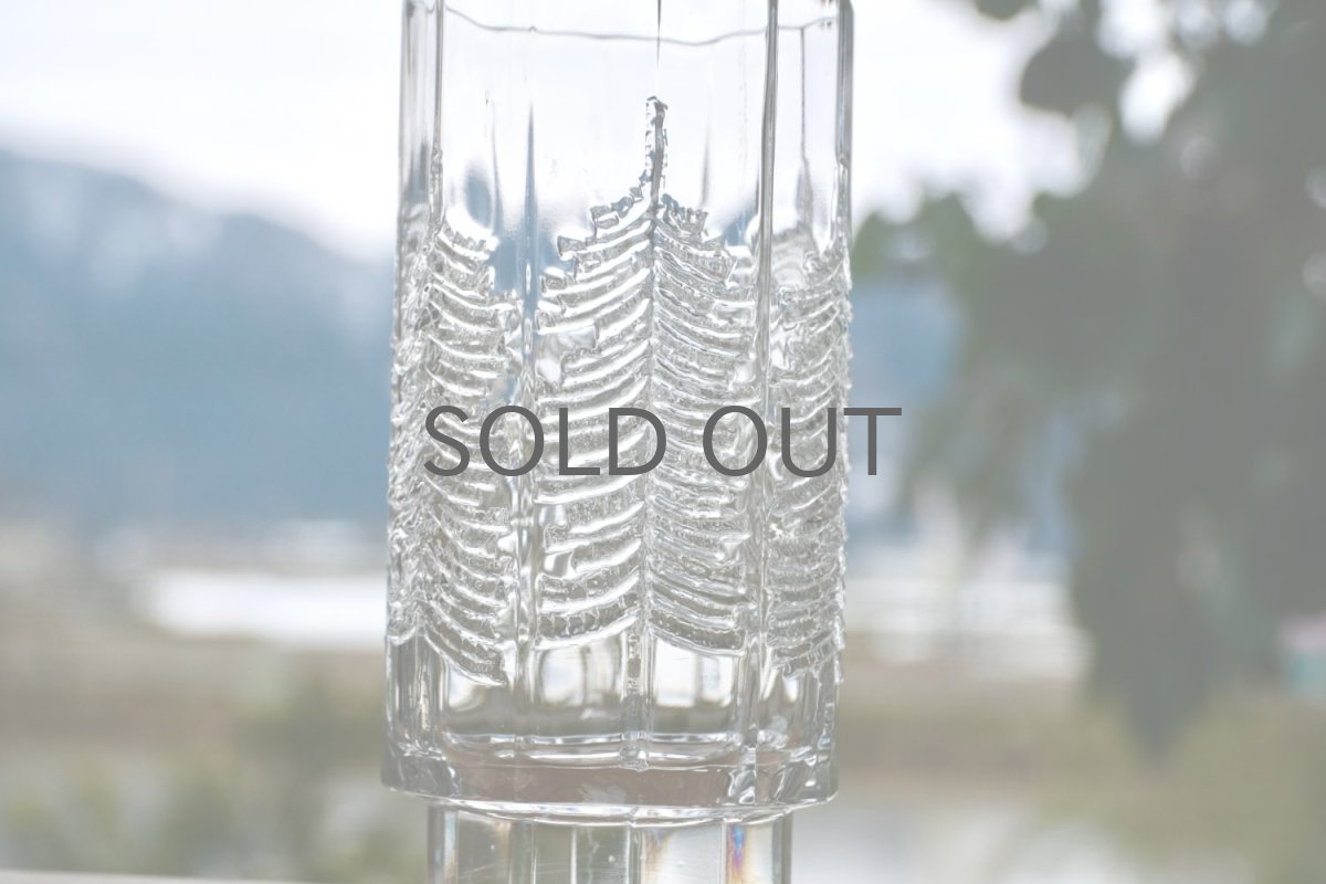 画像2: フィンランド/Iittala/イッタラ /Kuusi/クーシ /もみの木/H13.5/ロンググラス/No.2 (2)