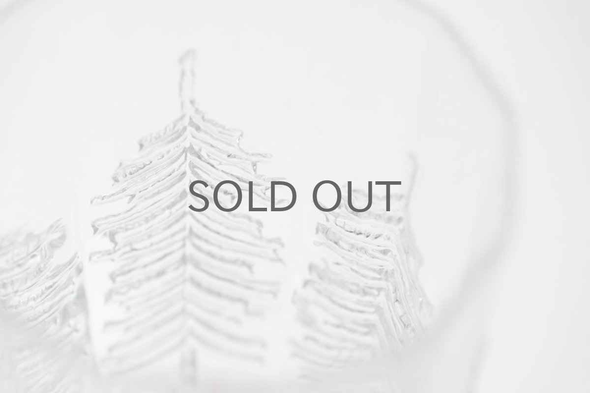 画像6: フィンランド/Iittala/イッタラ /Kuusi/クーシ /もみの木/H13.5/ロンググラス/No.1 (6)