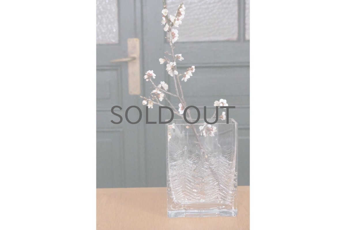 画像6: フィンランド/Iittala/イッタラ /Kuusi/クーシ /もみの木/スクエアーベース (6)