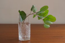 画像10: フィンランド/Iittala/イッタラ /Kuusi/クーシ /もみの木/ベース (10)