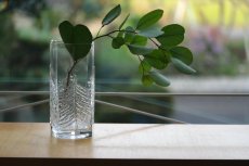 画像11: フィンランド/Iittala/イッタラ /Kuusi/クーシ /もみの木/ベース (11)