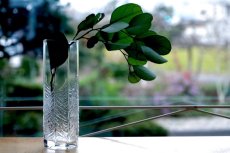 画像8: フィンランド/Iittala/イッタラ /Kuusi/クーシ /もみの木/ベース/No.1 (8)
