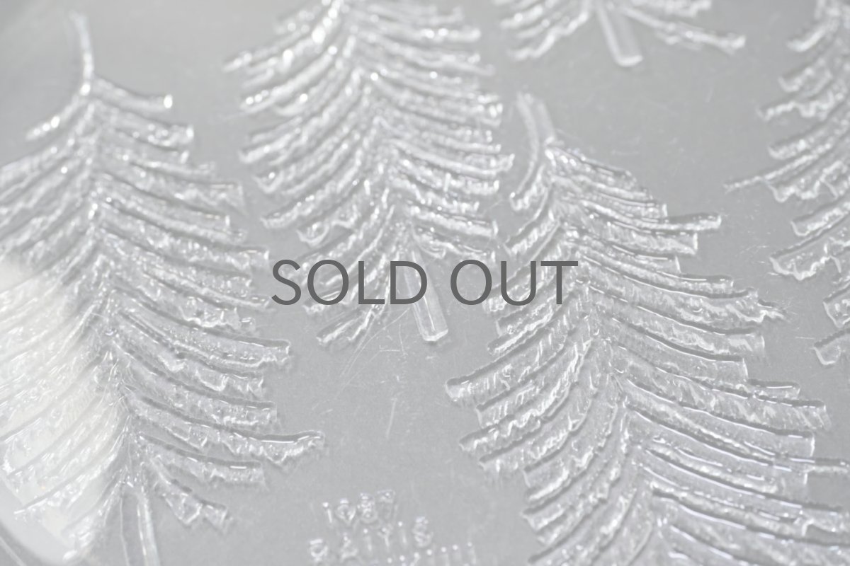 画像6: フィンランド/Iittala/イッタラ /Kuusi/クーシ/もみの木/22cm/プレート/No.1 (6)