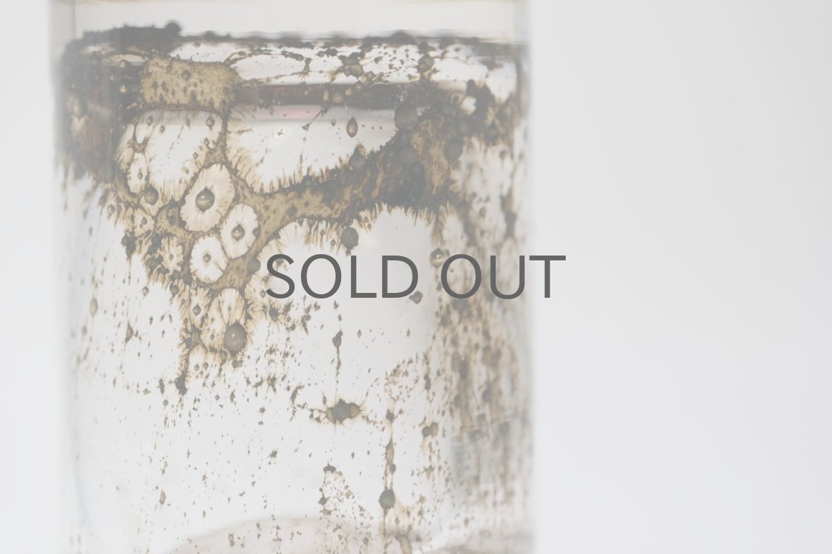 画像7: Kaj Franck/カイ・フランク/Pokaali/ゴブレット/KF486/Nuutajarvi/ヌータヤルヴィ/ユニークピース/レッド (7)