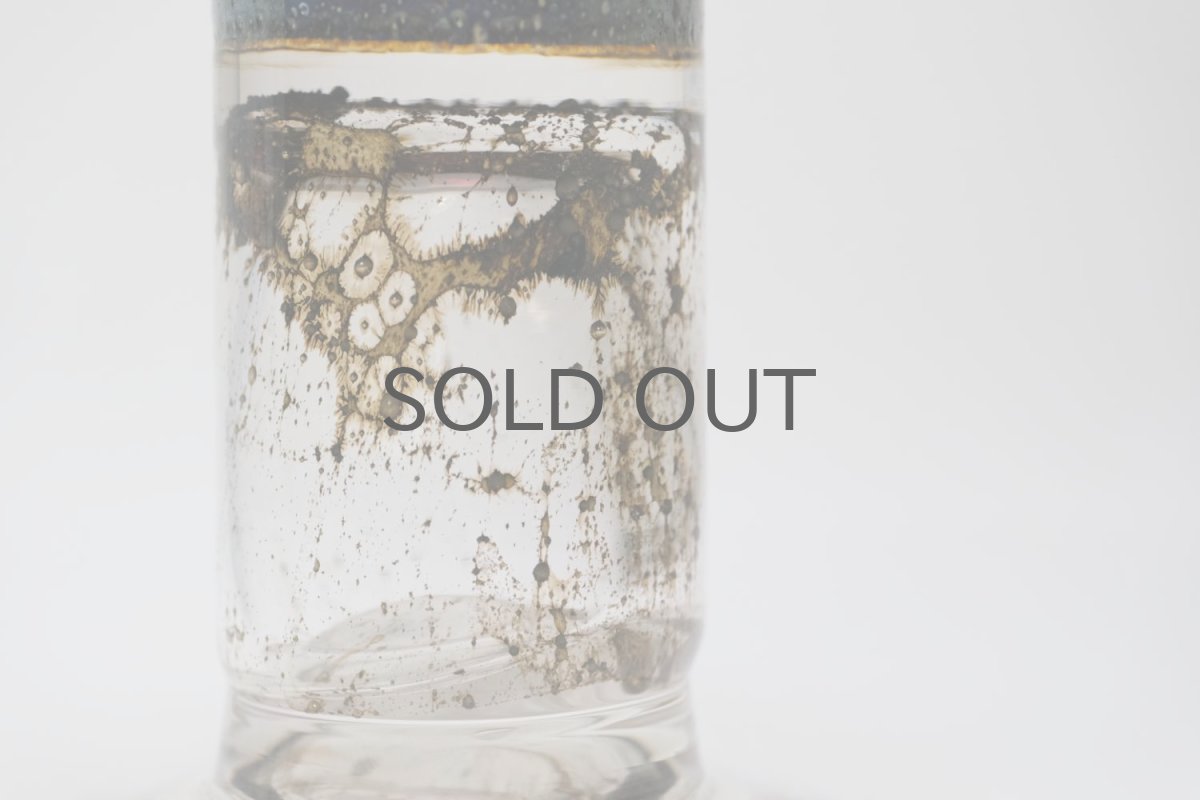 画像6: Kaj Franck/カイ・フランク/Pokaali/ゴブレット/KF486/Nuutajarvi/ヌータヤルヴィ/ユニークピース/レッド (6)