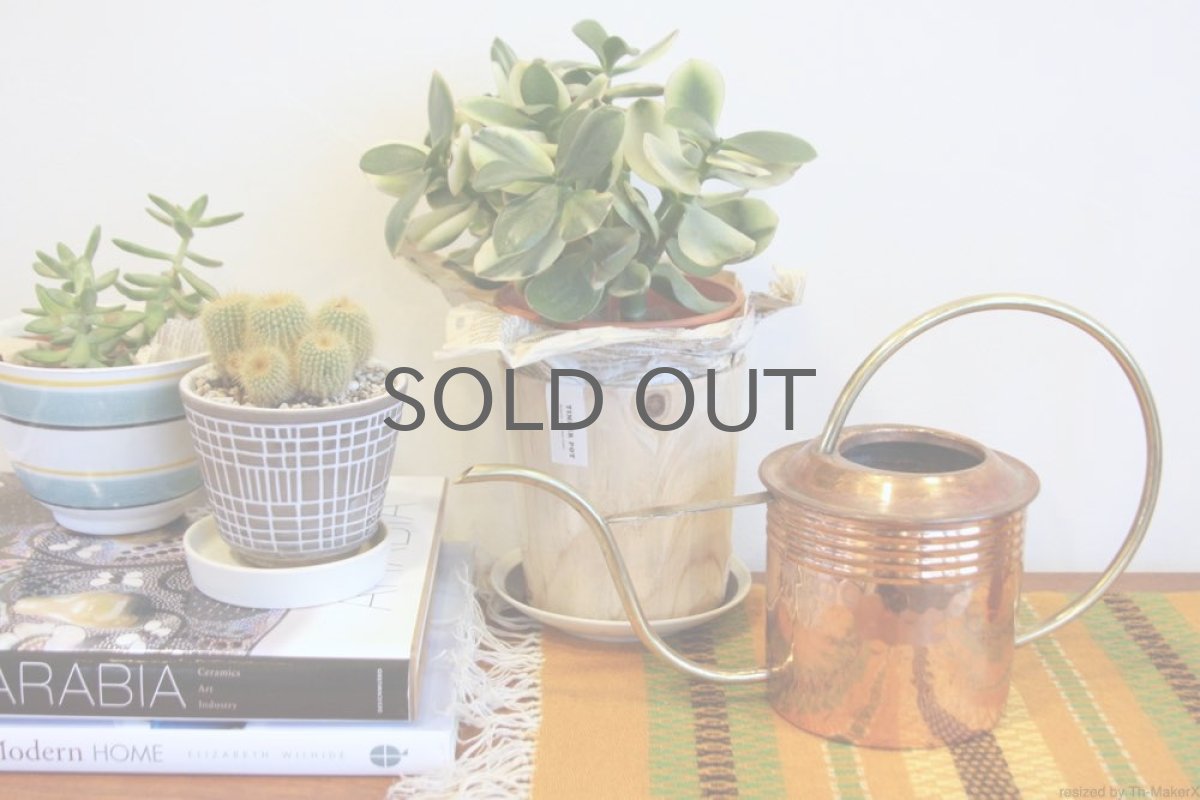 画像5: スウェーデン／ブラス（真鍮）のヴィンテージ水差し／細口ジョーロ／No.1 (5)