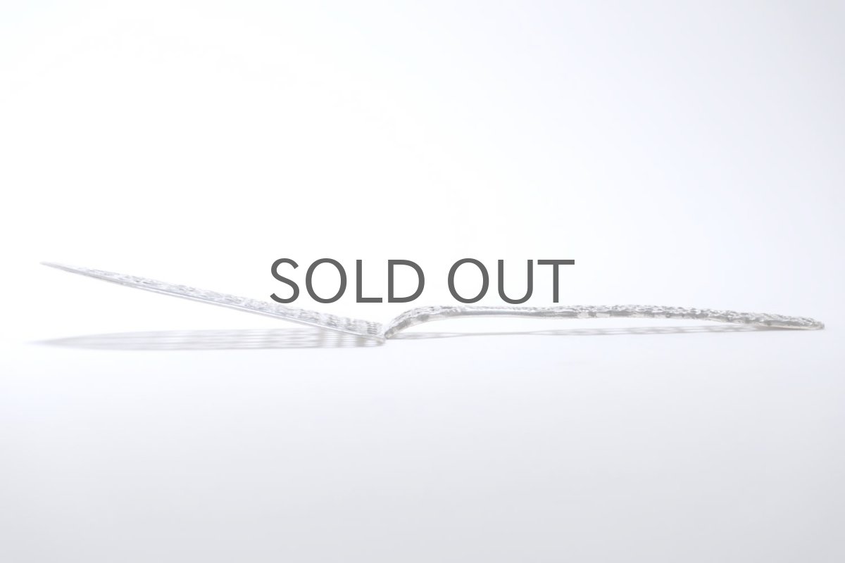 画像2: フィンランド製/シルバーケーキサーバー/Pentti Sarpaneva/ペンティ・サルパネヴァ/ケーキサーバー/オールレース (2)