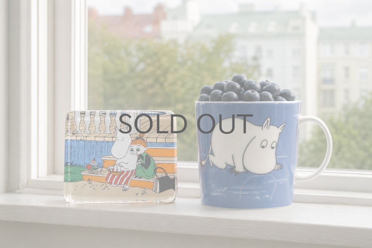 画像7: iittala/イッタラ /ムーミン/Moominmamma and the Bark Boat/グラスカード/2002-2005年/Sサイズ (7)