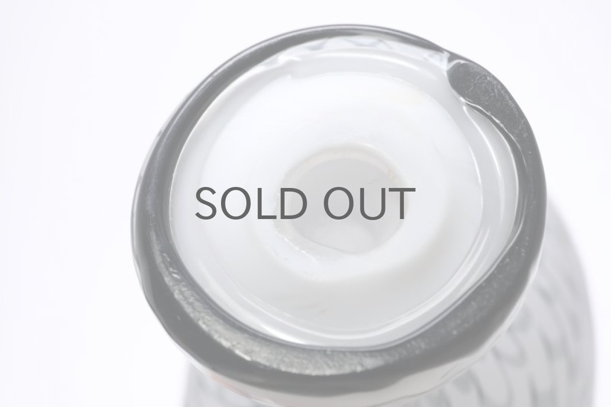 画像8: 北欧アートガラス/Oiva Toikka/オイバトイッカ/NUUTAJARVI/iittala/Birds/バード/Rantakiwi/Beach Kiwi (8)