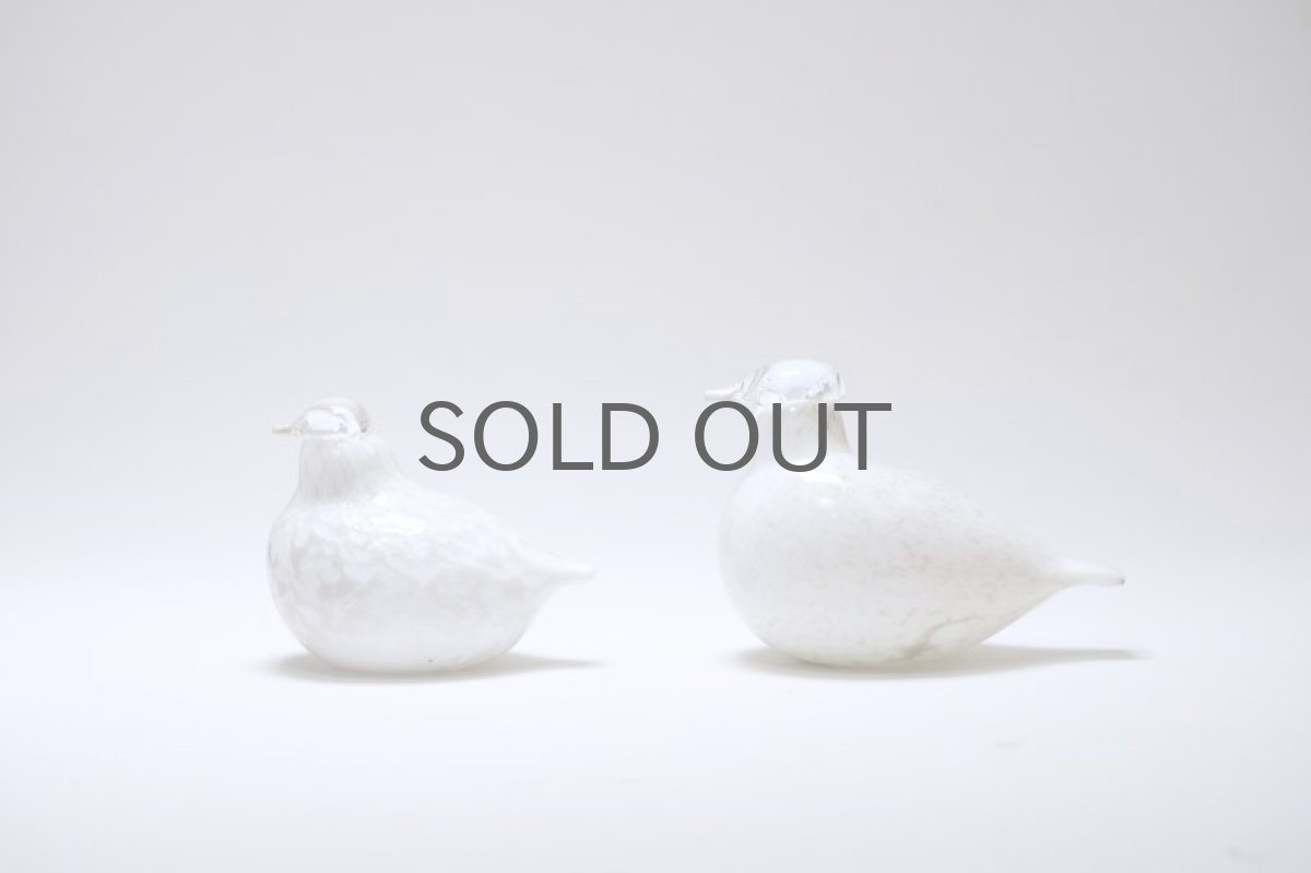 左のキルナです。