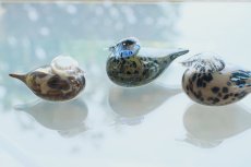右端のバード