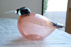画像5: 北欧アートガラス/ビンテージガラス/Oiva Toikka/オイバ・トイッカ/iittala/イッタラ/Birds/バード/2002年アニュアルバード/Helmikana/Guinea Fowl (5)