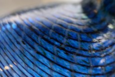 画像3: 北欧アートガラス/ビンテージガラス/Oiva Toikka/オイバ・トイッカ/iittala/イッタラ/Birds/バード/1995年/クリスマス/Blue Cuckoo/レアピース (3)