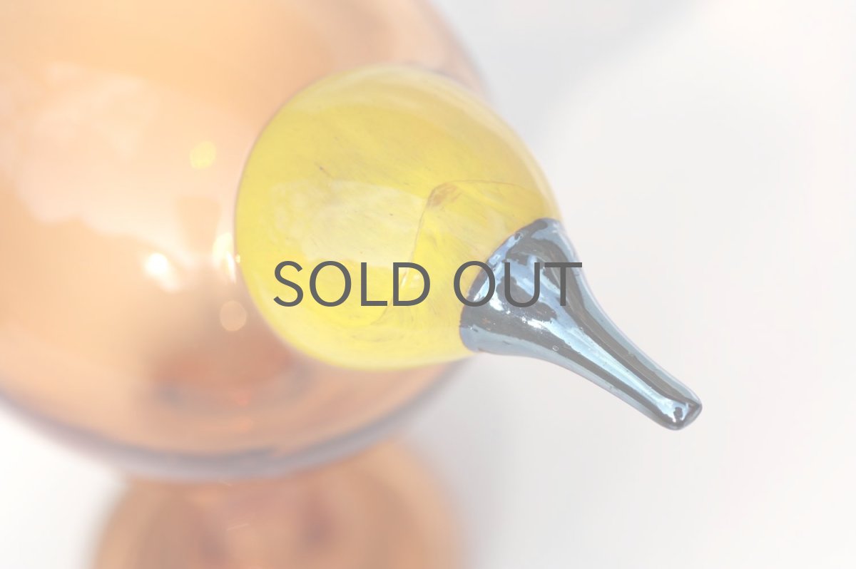 画像5: 北欧アートガラス/ビンテージガラス/Oiva Toikka/オイバ・トイッカ/iittala/イッタラ/Birds/バード/Dyynia/限定2015年 (5)