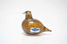 画像1: 北欧アートガラス/iittala/イッタラバード/Oiva Toikka/オイバトイッカ/Golden-Crested Kinglet/ラスタ半透明 (1)