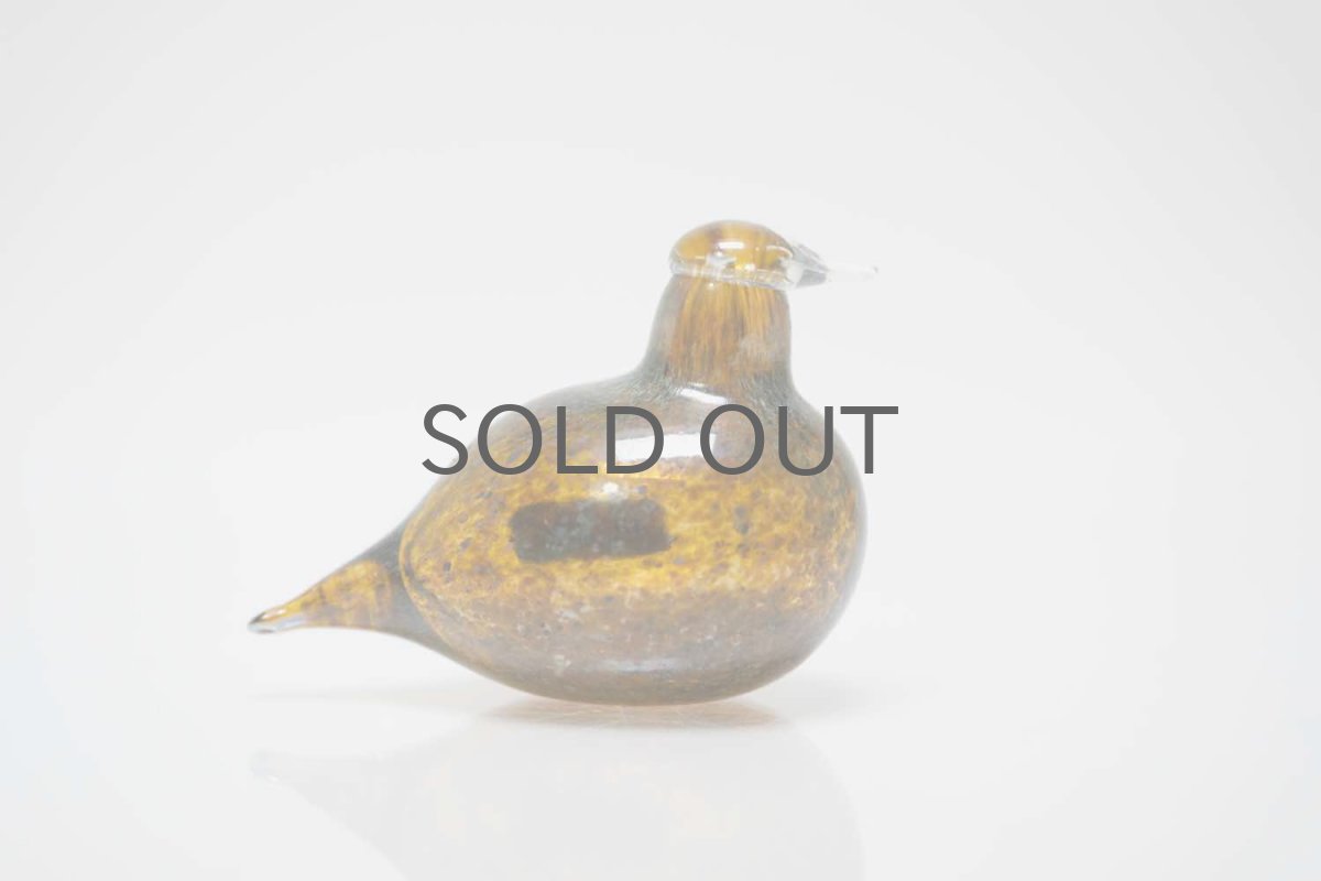 画像5: 北欧アートガラス/iittala/イッタラバード/Oiva Toikka/オイバトイッカ/Golden-Crested Kinglet/ラスタ半透明 (5)