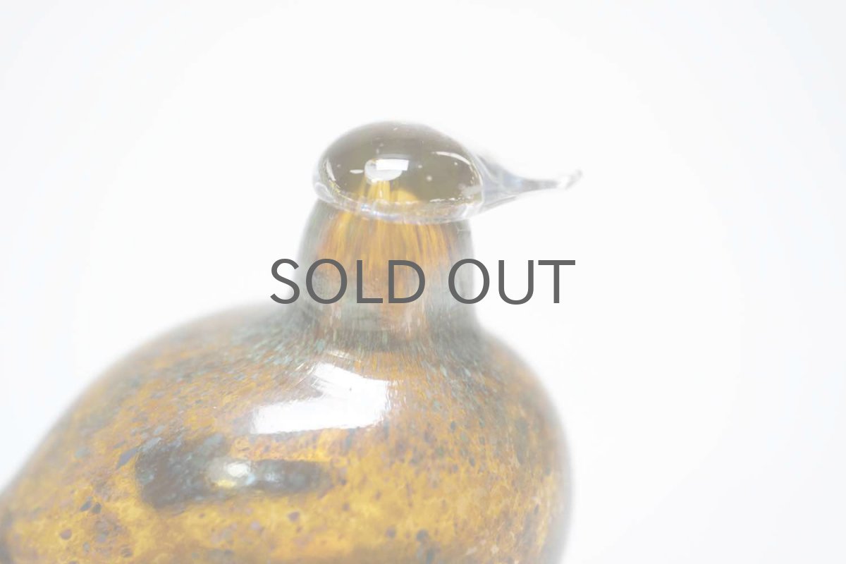 画像6: 北欧アートガラス/iittala/イッタラバード/Oiva Toikka/オイバトイッカ/Golden-Crested Kinglet/ラスタ半透明 (6)