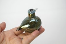 画像7: 北欧アートガラス/iittala/イッタラバード/Oiva Toikka/オイバトイッカ/Golden-Crested Kinglet/ラスタ (7)