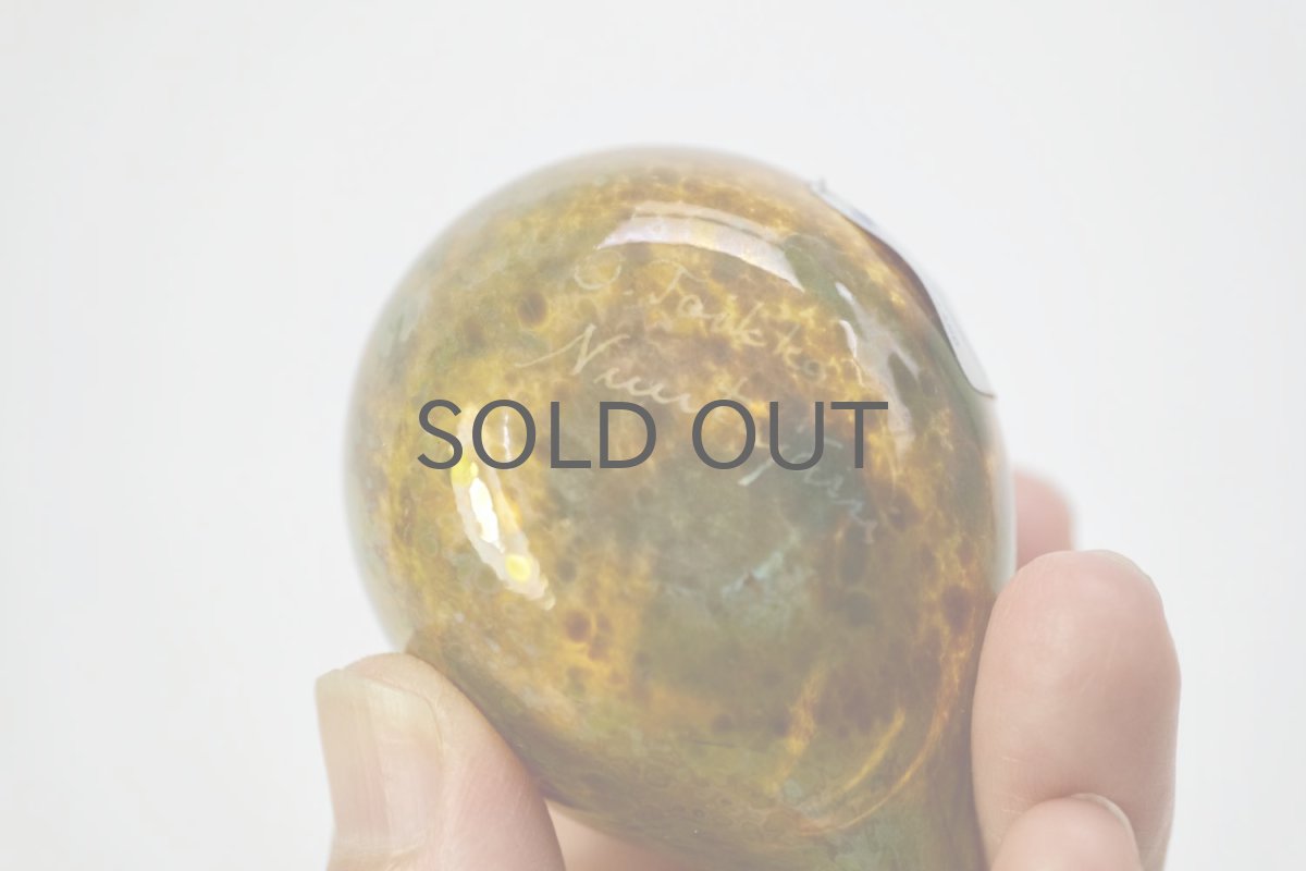 画像6: 北欧アートガラス/iittala/イッタラバード/Oiva Toikka/オイバトイッカ/Golden-Crested Kinglet/ラスタ半透明 (6)