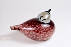 画像5: 北欧アートガラス/ビンテージガラス/Oiva Toikka/オイバ・トイッカ/iittala/イッタラ/Birds/バード/ROSY FINCH  (5)