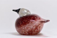 画像4: 北欧アートガラス/ビンテージガラス/Oiva Toikka/オイバ・トイッカ/iittala/イッタラ/Birds/バード/ROSY FINCH  (4)