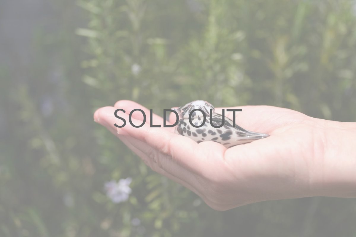 画像7: 北欧アートガラス/iittala/イッタラバード/Oiva Toikka/オイバトイッカ/Small GoldCrest/Pikku Hippi/ベージュ (7)