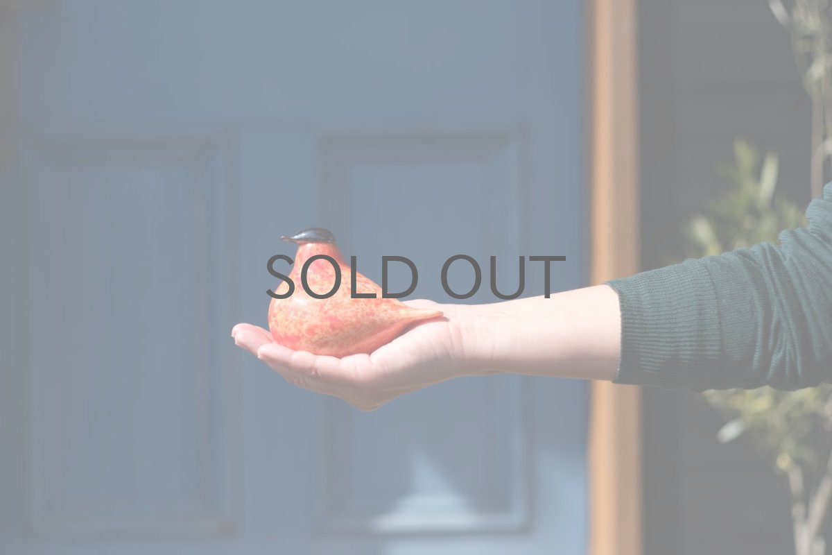 画像8: 北欧アートガラス/ビンテージガラス/Oiva Toikka/オイバ・トイッカ/iittala/イッタラ/Birds/バード/Stora Enso/2005年/50周年記念 (8)