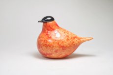 画像1: 北欧アートガラス/ビンテージガラス/Oiva Toikka/オイバ・トイッカ/iittala/イッタラ/Birds/バード/Stora Enso/2005年/50周年記念 (1)