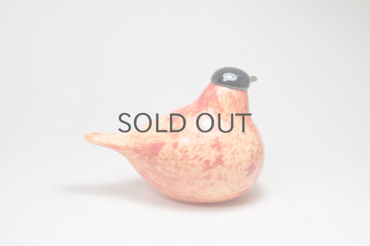 画像5: 北欧アートガラス/ビンテージガラス/Oiva Toikka/オイバ・トイッカ/iittala/イッタラ/Birds/バード/Stora Enso/2005年/50周年記念 (5)