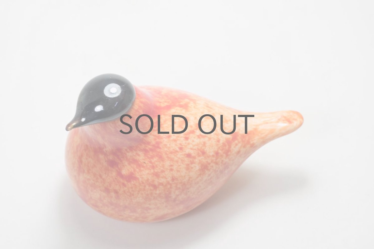 画像3: 北欧アートガラス/ビンテージガラス/Oiva Toikka/オイバ・トイッカ/iittala/イッタラ/Birds/バード/Stora Enso/2005年/50周年記念 (3)