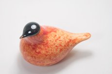 画像3: 北欧アートガラス/ビンテージガラス/Oiva Toikka/オイバ・トイッカ/iittala/イッタラ/Birds/バード/Stora Enso/2005年/50周年記念 (3)