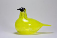 画像1: 北欧アートガラス/ビンテージガラス/Oiva Toikka/オイバ・トイッカ/iittala/イッタラ/Birds/バード /SSKK 2010/Liivia/300体限定 (1)