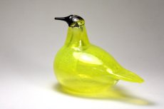 画像6: 北欧アートガラス/ビンテージガラス/Oiva Toikka/オイバ・トイッカ/iittala/イッタラ/Birds/バード /SSKK 2010/Liivia/300体限定 (6)