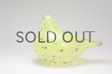 北欧アートガラス/iittala/イッタラバード/Oiva Toikka/オイバトイッカ