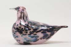 画像1: 北欧アートガラス/ビンテージガラス/Oiva Toikka/オイバ・トイッカ/iittala/イッタラ/Birds/バード/Rubirosa/ルビーローサ/限定150体 (1)