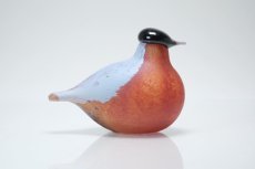 画像4: 北欧アートガラス/Nuutajarvi/ヌータヤルヴィ/iittala/イッタラバード/Oiva Toikka/オイバトイッカ/Small Bullfinch (4)